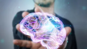 Changes in the structural approach to learning in organisations