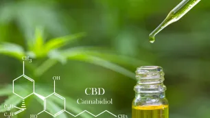 Is cannabidiol (CBD) dried flower legal in the UK?
