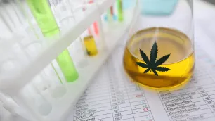 Importance of cannabidiol (CBD) product testing