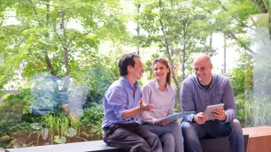 Greening Your Workplace