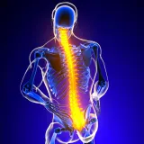 Vector Analysis in Musculoskeletal Biomechanics - Part 2: Clinical Applications and Case Interpretation