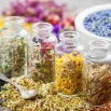 cpd-Botanery-Herbal-Wine-Creation-House-Scientific-Basis-Herbal-Medicine