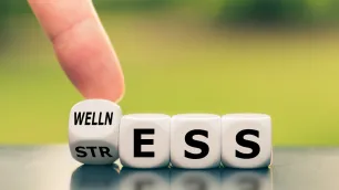 Wellness and Learning: The Complete Approach to Professional Growth