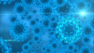 Optimising the Use of Antimicrobials: Identify, Protect, and Contain