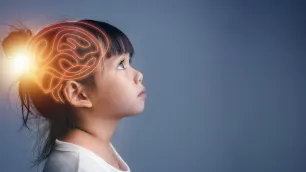 Understanding the Child’s Brain: A Gentle Guide to Behaviour and Regulation