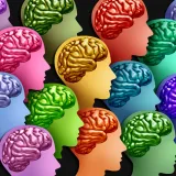 The Nervous System Behind Behaviour: Why Interpretation Matters More Than Correction