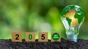 Five steps for turning net zero ambitions into deliverable projects
