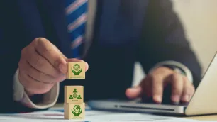 Startups: The Forgotten Piece of The Puzzle in The Sustainability Debate