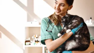 CPD for Vets and Veterinary Nurses