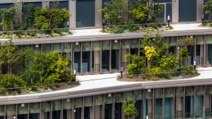 CFD Simulation for Sustainable Design