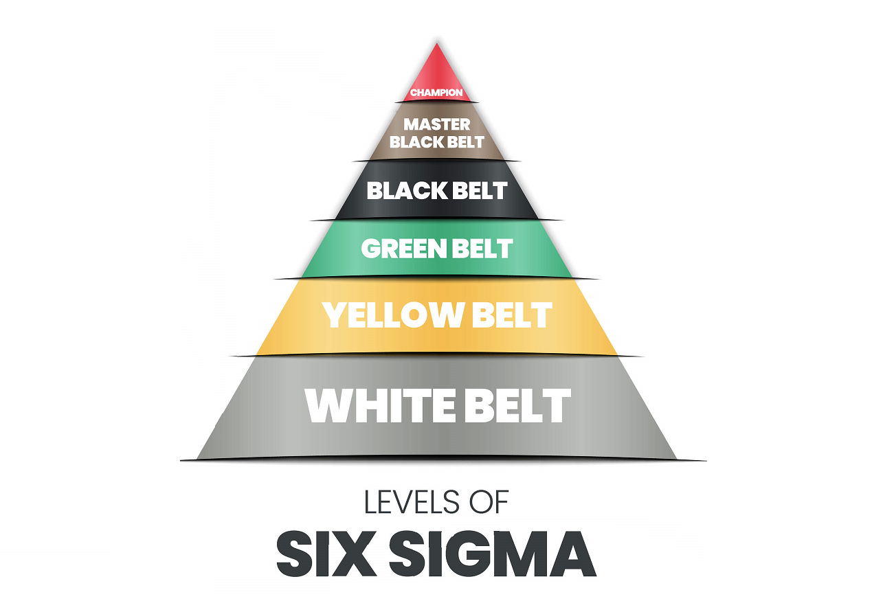 The Six Sigma certification system